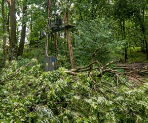 Nawałnica w Ciechanowcu Nawałnica w Ciechanowcu