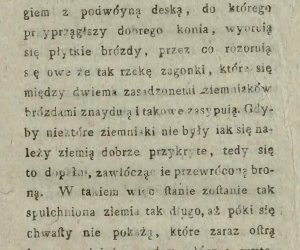 Niecodziennik muzealny - Uprawa ziemniaków w Polsce w XVIII i pierwszych dekadach XIX wieku. Niecodziennik muzealny - Uprawa ziemniaków w Polsce w XVIII i pierwszych dekadach XIX wieku.