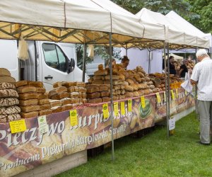 XXII Podlaskie Święto Chleba - fotorelacja XXII Podlaskie Święto Chleba - fotorelacja