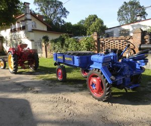 Wyglądają przepięknie Wyglądają przepięknie