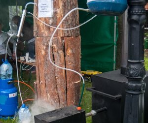 Jarmark św. Wojciecha i Święto Lasu Jarmark św. Wojciecha i Święto Lasu