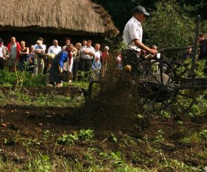 Wykopki w skansenie 2009