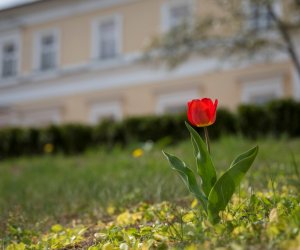 Codziennik Muzealny - Wiosna w ciechanowieckim muzeum Codziennik Muzealny - Wiosna w ciechanowieckim muzeum
