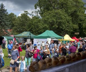 XVI Podlaskie Święto Chleba XVI Podlaskie Święto Chleba