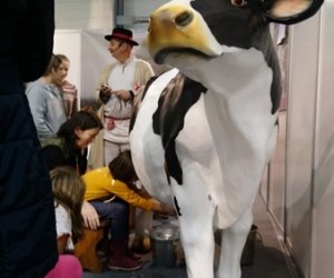 Narodowa Wystawa Rolnicza w Poznaniu Narodowa Wystawa Rolnicza w Poznaniu