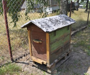 "Kwitnące Tradycje" "Kwitnące Tradycje"