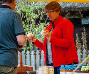 Jesień w polu i zagrodzie Jesień w polu i zagrodzie