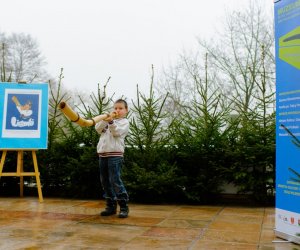 Galeria z 6 grudnia 2014