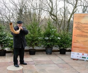 Galeria z 5 grudnia 2015 Galeria z 5 grudnia 2015