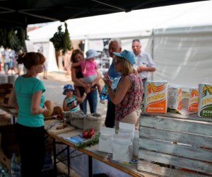 Muzeum na Pikniku Poznaj Dobrą Żywność