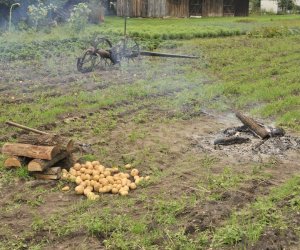 Wykopki w skansenie podsumowanie, fotorelacja. Wykopki w skansenie podsumowanie, fotorelacja.