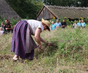 XVI Podlaskie Święto Chleba XVI Podlaskie Święto Chleba