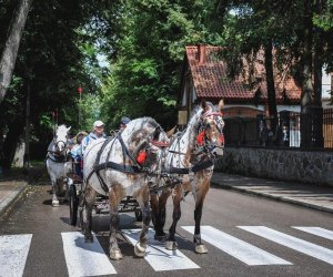 X Zajazd Wysokomazowiecki - fotorelacja X Zajazd Wysokomazowiecki - fotorelacja