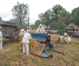 XVII Podlaskie Święto Chleba - fotorelacja XVII Podlaskie Święto Chleba - fotorelacja