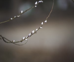 Nie ja biję, palma bije Nie ja biję, palma bije