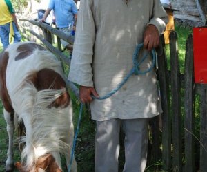 IX Podlaskie Święto Chleba IX Podlaskie Święto Chleba