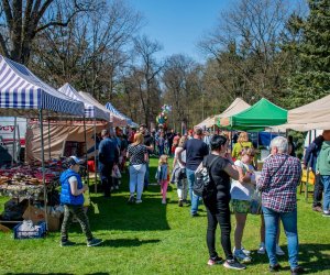 Jarmark św. Wojciecha A.D. 2023 - podsumowanie i fotorelacja Jarmark św. Wojciecha A.D. 2023 - podsumowanie i fotorelacja