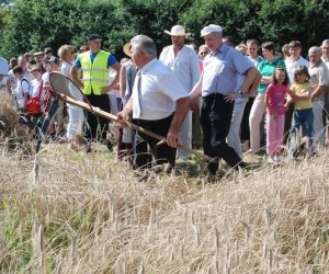 IX Podlaskie Święto Chleba IX Podlaskie Święto Chleba