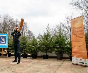 Galeria z 5 grudnia 2015 Galeria z 5 grudnia 2015