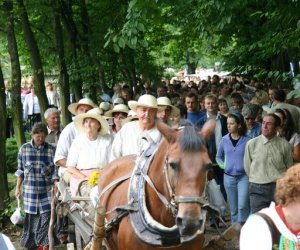 VIII PODLASKIE ŚWIĘTO CHLEBA VIII PODLASKIE ŚWIĘTO CHLEBA