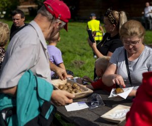 „Jesień w polu i zagrodzie” 2023 r. - fotorelacja i podsumowanie „Jesień w polu i zagrodzie” 2023 r. - fotorelacja i podsumowanie