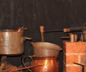 Oficyna – ekspozycja „Tradycje zielarskie” Oficyna – ekspozycja „Tradycje zielarskie”