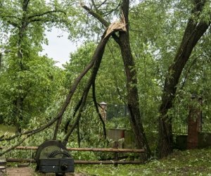 Nawałnica w ciechanowieckim muzeum Nawałnica w ciechanowieckim muzeum