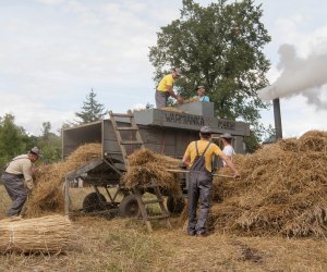 XVI Podlaskie Święto Chleba XVI Podlaskie Święto Chleba
