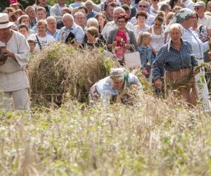 XVI Podlaskie Święto Chleba XVI Podlaskie Święto Chleba