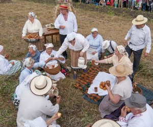 XVI Podlaskie Święto Chleba XVI Podlaskie Święto Chleba