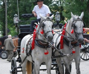 V Zajazd Wysokomazowiecki V Zajazd Wysokomazowiecki
