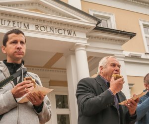 Wykopki w Skansenie 2013 Wykopki w Skansenie 2013