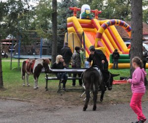 Wykopki w Skansenie Wykopki w Skansenie