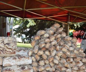 XV Podlaskie Święta Chleba w Muzeum Rolnictwa im. ks. Krzysztofa Kluka w Ciechanowcu XV Podlaskie Święta Chleba w Muzeum Rolnictwa im. ks. Krzysztofa Kluka w Ciechanowcu