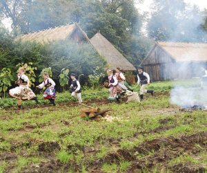 Wykopki w skansenie podsumowanie, fotorelacja. Wykopki w skansenie podsumowanie, fotorelacja.