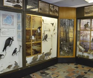 Duch religijnej tradycji w oleodrukach - Wystawa w Mińsku na Białorusi Duch religijnej tradycji w oleodrukach - Wystawa w Mińsku na Białorusi