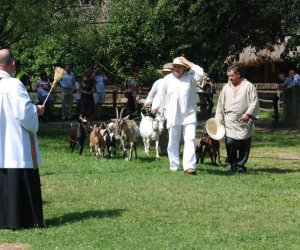 IX Podlaskie Święto Chleba IX Podlaskie Święto Chleba