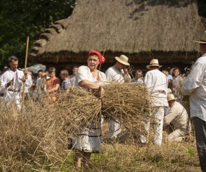 XXIII Podlaskie Święto Chleba - fotorelacja XXIII Podlaskie Święto Chleba - fotorelacja