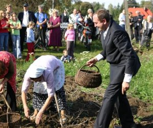 "Wykopki pod Wiatrakiem" - relacja