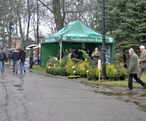 Deszczowy Jarmark Deszczowy Jarmark