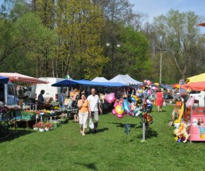 Galeria - 2012 Galeria - 2012