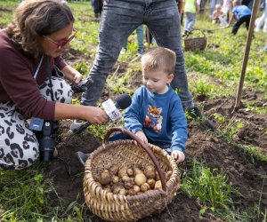 Jesień w polu i zagrodzie - fotorelacja - 15 września 2024