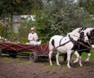 Impreza plenerowa - Jesień w Polu i Zagrodzie Impreza plenerowa - Jesień w Polu i Zagrodzie