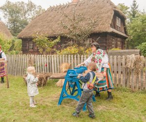 Wykopki w Skansenie 2013 Wykopki w Skansenie 2013