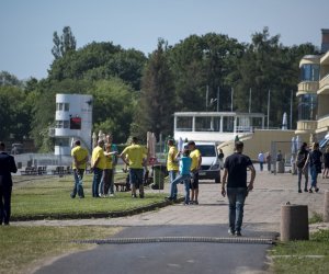 Piknik "Poznaj Zdrową Żywność" - fotorelacja