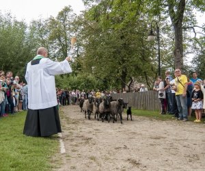 XVI Podlaskie Święto Chleba XVI Podlaskie Święto Chleba