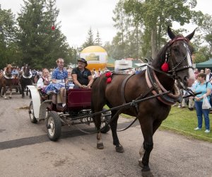 XVI Podlaskie Święto Chleba XVI Podlaskie Święto Chleba