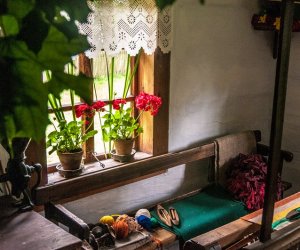 Zielone Świątki Zielone Świątki