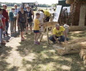 Piknik "Poznaj Zdrową Żywność" - fotorelacja