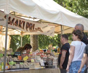 Odpust na św. Antoniego - fotorelacja Odpust na św. Antoniego - fotorelacja